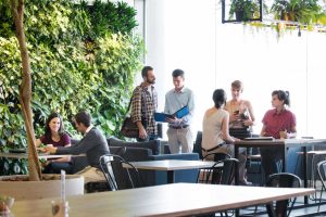 people chatting in a chill out area in the office surrounded by plants and natural light