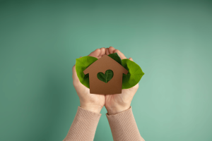 hands holding a house