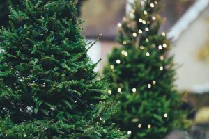 Christmas trees for offices