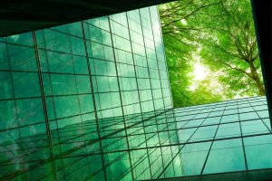 green building and trees