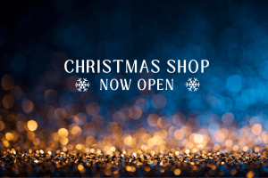 Christmas shop 2023
