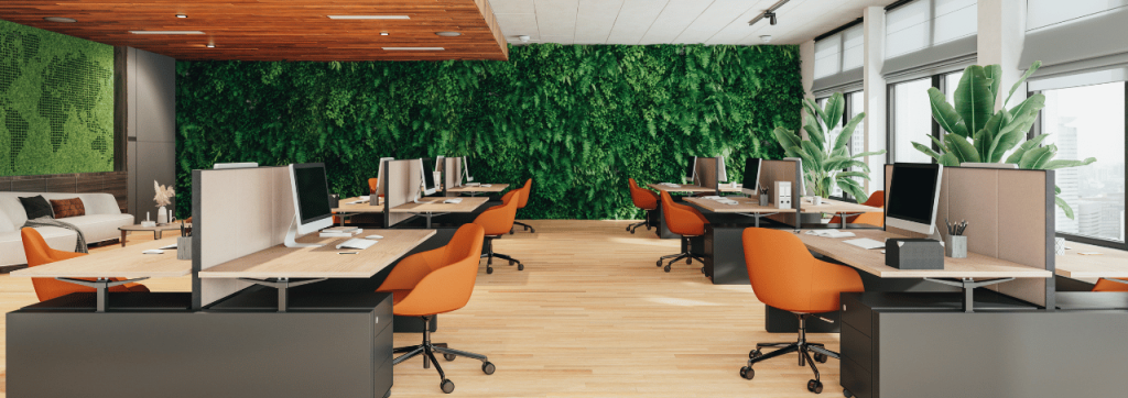 biophilic office design with plants