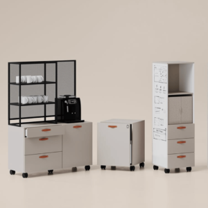 modular storage solutions and shelves for offices